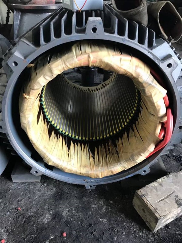 哪有防爆雙速電機(jī)維修巨野電機(jī)維修咨詢(xún)通洋機(jī)電